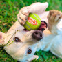 Играчка за куче Nerf Dog Squeak Tennis Ball 3 pcs