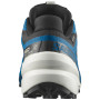 Мъжки обувки за бягане Salomon Speedcross 6 Gore-Tex