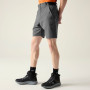 Мъжки къси панталони Dare 2b Torrek II Short