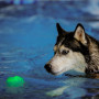 Играчка за куче Nite Ize GlowStreak Wild LED Ball