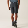Мъжки къси панталони Regatta Eldes Shorts