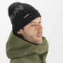 Шапка Salomon Hermitage Beanie