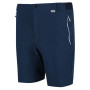 Мъжки къси панталони Regatta Mountain ShortsII