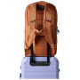 Раница Cotopaxi Allpa 26L Daypack