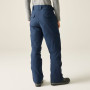 Мъжки панталони Dare 2b Baseplate Insulated Pant