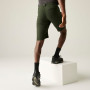 Мъжки къси панталони Regatta Highton Shorts Long II