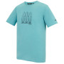 Мъжка тениска Regatta Cline IX