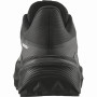 Мъжки обувки за бягане Salomon Genesis 2