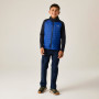 Детско яке Regatta Boys Trekktain 3-in-1 II Nvy/OlympBlu