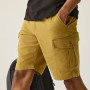 Мъжки къси панталони Regatta Ruwan Shorts