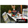 Грил Cattara Keg