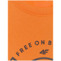 Мъжка тениска 4F Tshirt M3138