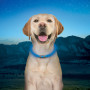 Светещ нашийник за куче Nite Ize NiteHowl® Rechargeable LED Safety Necklace