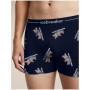 Мъжки функционални боксерки Icebreaker Men M 150 Anatomica Boxers BearTourAOP