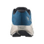 Мъжки обувки Salomon Aero Blaze 4 Grvl